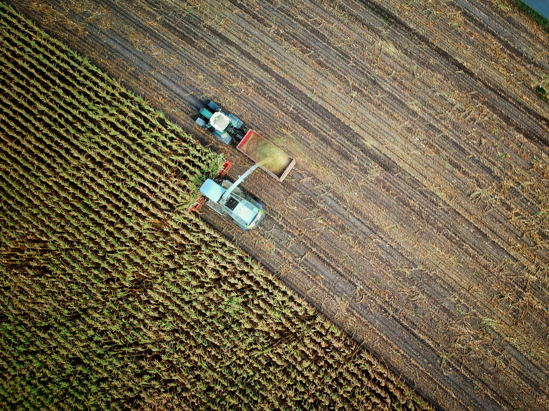 AgriTech